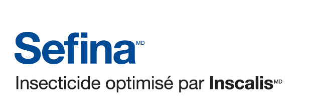 Sefina logo